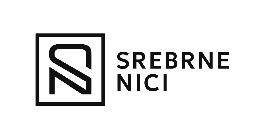 Logo Stowarzyszenia Srebrne Nici